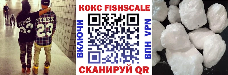 Cocaine Fish Scale  дарнет шоп  Слюдянка 